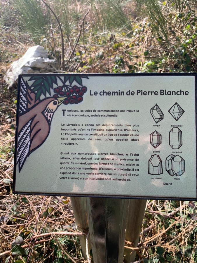 Gite " Oree Des Bois" Vertolaye Exterior photo